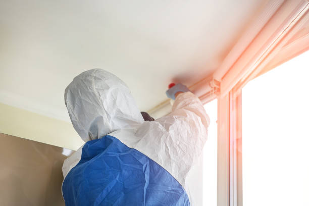 Why You Should Choose Our Mold Remediation Services in Westby, WI