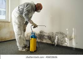 Trusted Westby, WI Mold Removal Experts